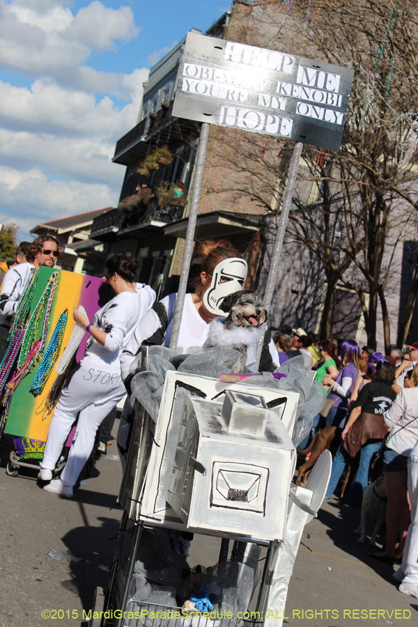 Mystic-Krewe-of-Barkus-2015-13011