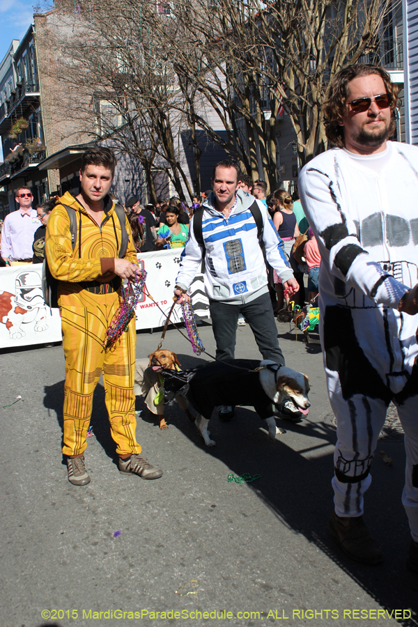 Mystic-Krewe-of-Barkus-2015-13016