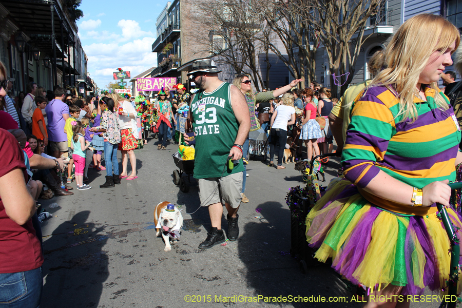 Mystic-Krewe-of-Barkus-2015-13020