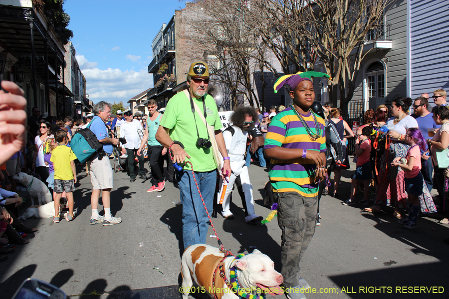 Mystic-Krewe-of-Barkus-2015-13033