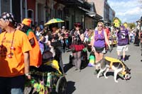 Mystic-Krewe-of-Barkus-2015-12968
