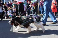 Mystic-Krewe-of-Barkus-2015-12990
