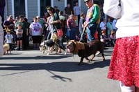 Mystic-Krewe-of-Barkus-2015-12991