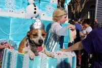 Mystic-Krewe-of-Barkus-2015-12996