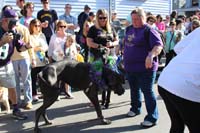 Mystic-Krewe-of-Barkus-2015-13021