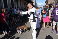 Mystic-Krewe-of-Barkus-2015-13062