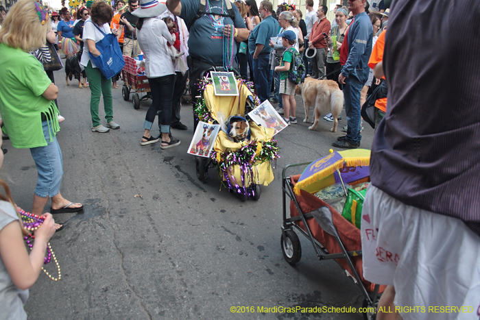 2016-Mystic-Krewe-of-Barkus-004562