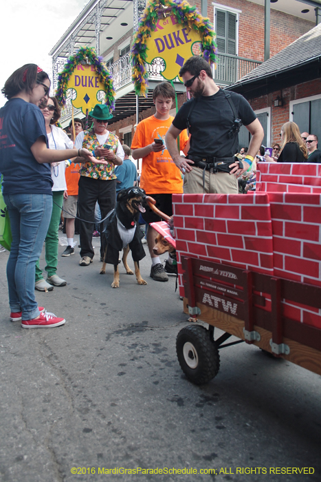 2016-Mystic-Krewe-of-Barkus-004572