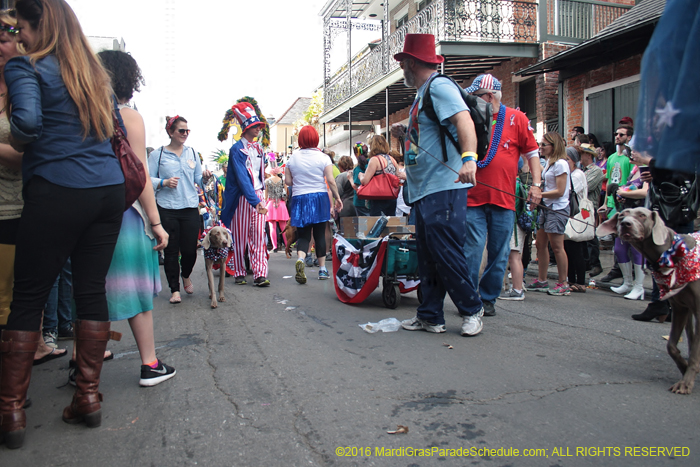 2016-Mystic-Krewe-of-Barkus-004588