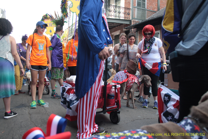 2016-Mystic-Krewe-of-Barkus-004594