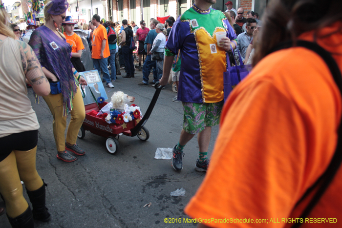 2016-Mystic-Krewe-of-Barkus-004595