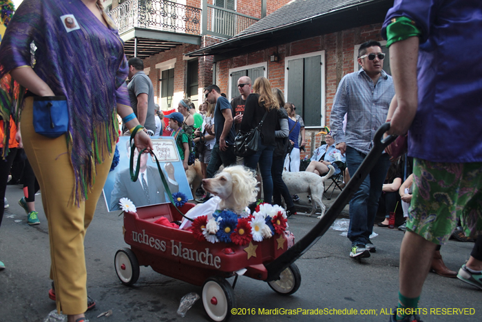 2016-Mystic-Krewe-of-Barkus-004597