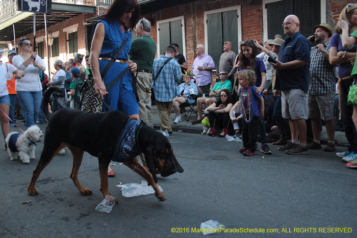 2016-Mystic-Krewe-of-Barkus-004615