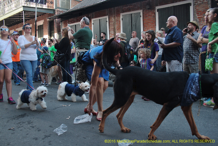 2016-Mystic-Krewe-of-Barkus-004616