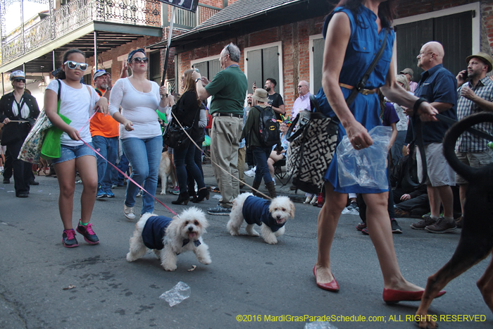 2016-Mystic-Krewe-of-Barkus-004617