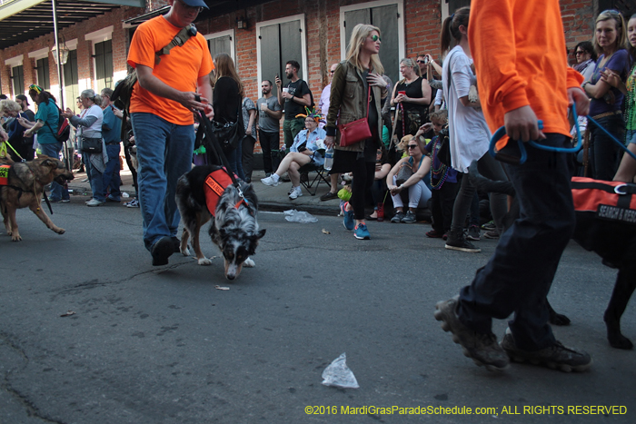 2016-Mystic-Krewe-of-Barkus-004627