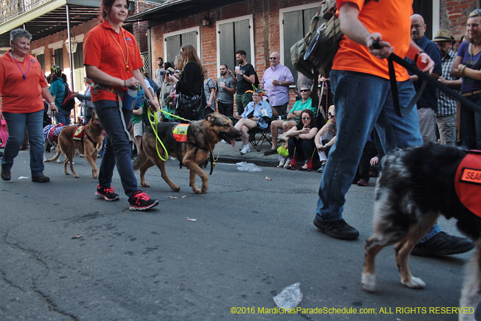 2016-Mystic-Krewe-of-Barkus-004629