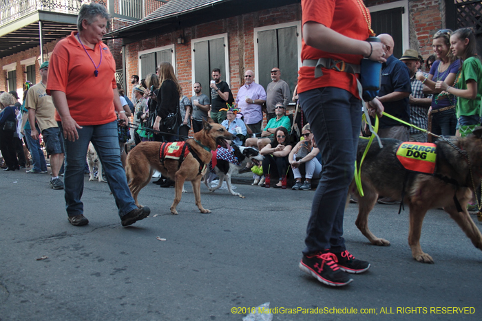 2016-Mystic-Krewe-of-Barkus-004630