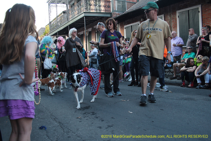 2016-Mystic-Krewe-of-Barkus-004631