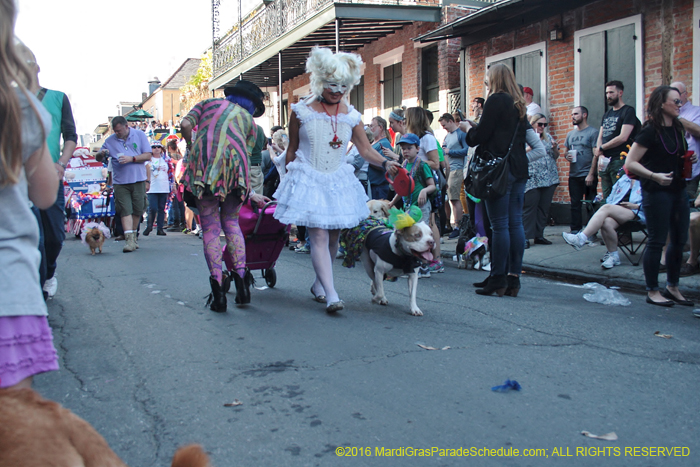 2016-Mystic-Krewe-of-Barkus-004637