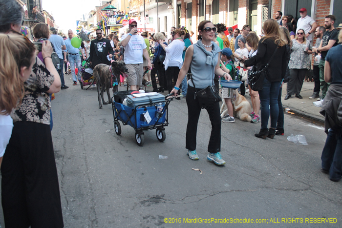 2016-Mystic-Krewe-of-Barkus-004667