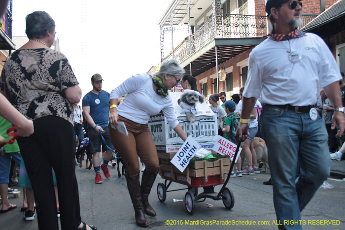 2016-Mystic-Krewe-of-Barkus-004690