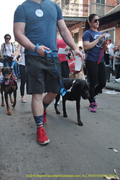 2016-Mystic-Krewe-of-Barkus-004692