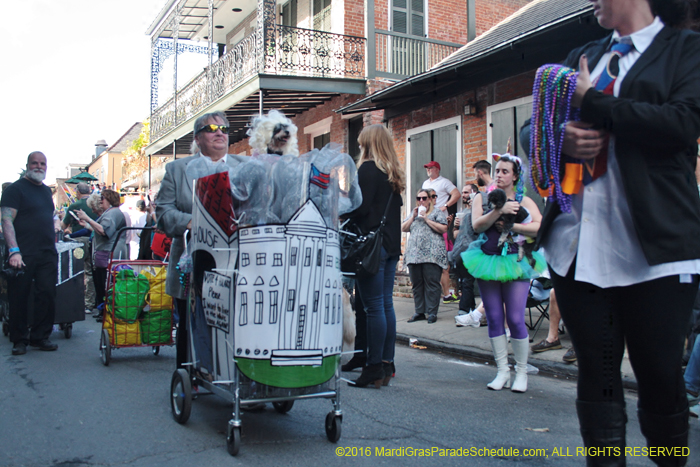 2016-Mystic-Krewe-of-Barkus-004739