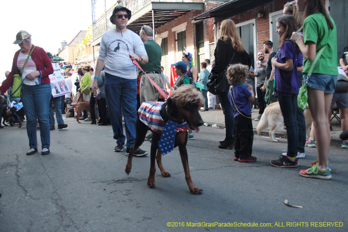 2016-Mystic-Krewe-of-Barkus-004795