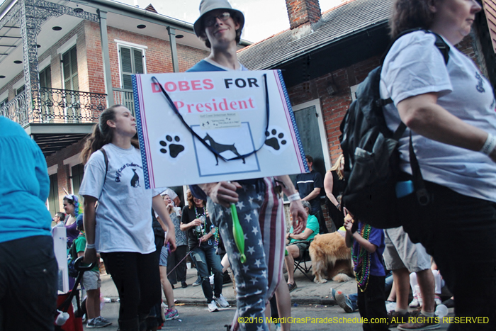 2016-Mystic-Krewe-of-Barkus-004802