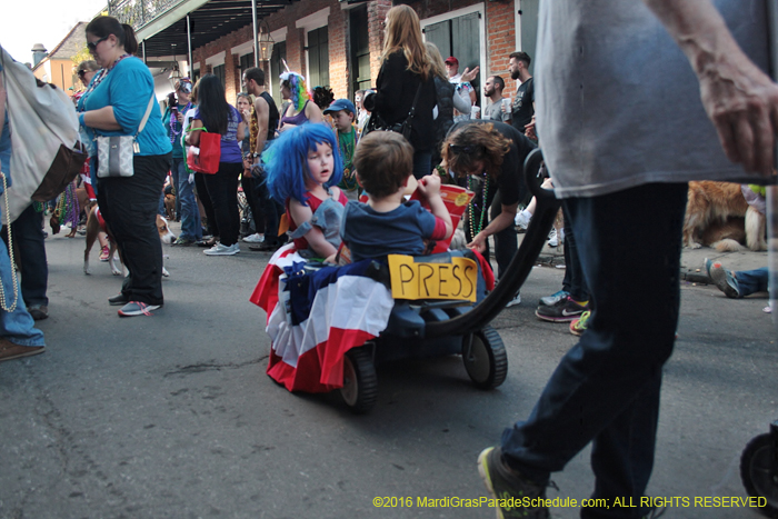2016-Mystic-Krewe-of-Barkus-004805