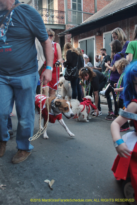 2016-Mystic-Krewe-of-Barkus-004807