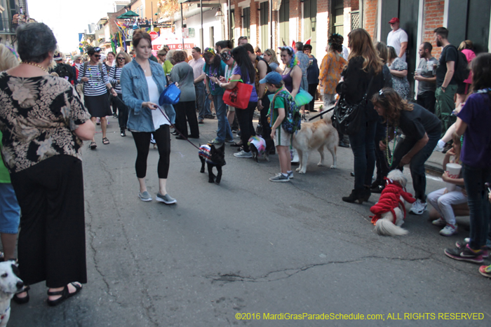 2016-Mystic-Krewe-of-Barkus-004808