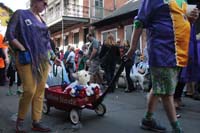 2016-Mystic-Krewe-of-Barkus-004596