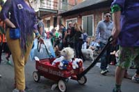 2016-Mystic-Krewe-of-Barkus-004597