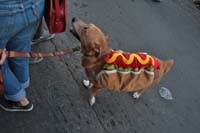 2016-Mystic-Krewe-of-Barkus-004603