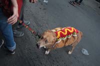 2016-Mystic-Krewe-of-Barkus-004604