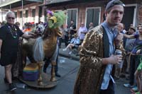 2016-Mystic-Krewe-of-Barkus-004612