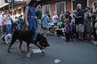 2016-Mystic-Krewe-of-Barkus-004615