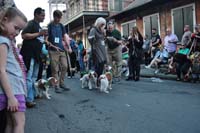 2016-Mystic-Krewe-of-Barkus-004632