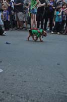 2016-Mystic-Krewe-of-Barkus-004636