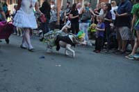 2016-Mystic-Krewe-of-Barkus-004638