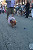2016-Mystic-Krewe-of-Barkus-004640