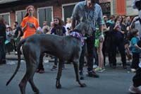 2016-Mystic-Krewe-of-Barkus-004650
