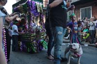 2016-Mystic-Krewe-of-Barkus-004653