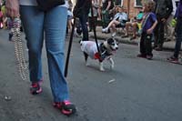 2016-Mystic-Krewe-of-Barkus-004657