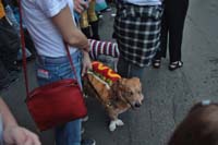 2016-Mystic-Krewe-of-Barkus-004666