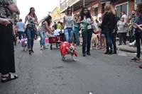 2016-Mystic-Krewe-of-Barkus-004672
