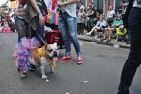 2016-Mystic-Krewe-of-Barkus-004682