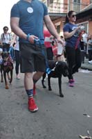 2016-Mystic-Krewe-of-Barkus-004692